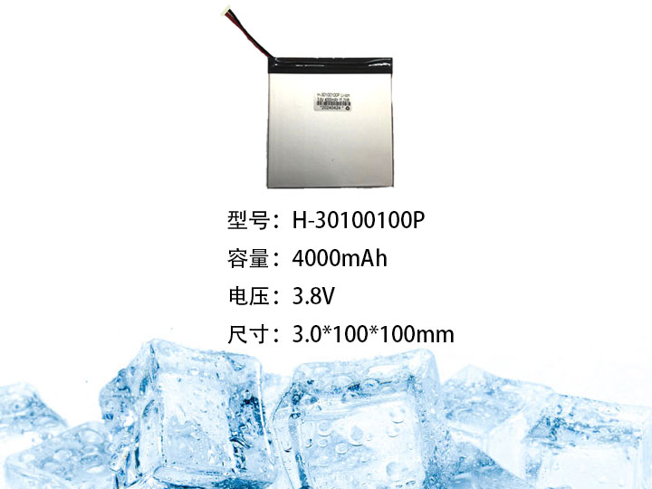 H-30100100P.jpg